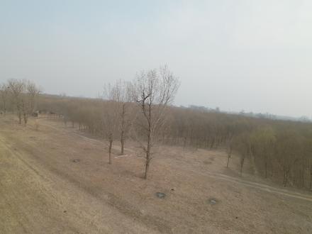 AVATA360这波营销赢麻了 #avata360 #全景无人机 #有没有买过的来晒晒 全景无人机