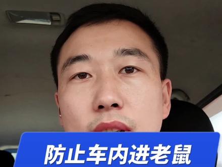 如何预防车内进老鼠?#每天一个用车知识 #汽车保养与维修 #汽车好物 #用车有妙招 #拼命三郎成倍