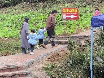 逛凯里动物园不绕路!两条往返路帮你挑#动物