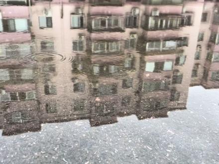 美图优选,多多买菜,取菜过程#人间烟火