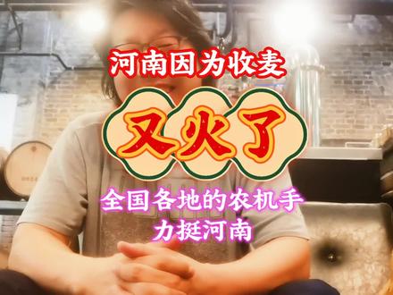 河南因为麦收又火了 全国各地农机手力挺河南 #真实生活分享计划 #创作者中心#麦收#收割机#河南