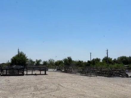 这些各种各样的风,你知道有多危险吗?#奇异天象 #科普 #风 #天气