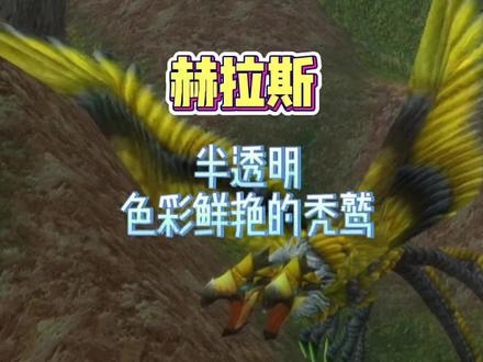 魔兽世界半透明宠物-赫拉斯-狂野宠物,生存射击猎均可抓-持续更新中 #猎人 #宠物 #特效 #魔兽世界 #游戏日常