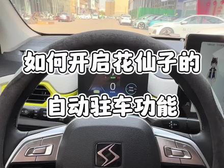伙伴们,快来看看如何开启花仙子的自动驻车功能吧😄#思皓花仙子 #思皓爱跑 #河南致锦