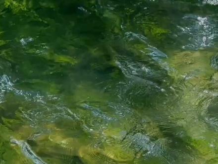 #代墨昱 #穿书成富家妯娌我和闺蜜齐上阵 #许知意 @童家豪 #刘姝妤 我真求你了,导演,还我眼泪