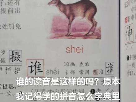 #谁 的读音是shui 还是shei 还是都正确呢?我记得一直都是学的第一个啊。