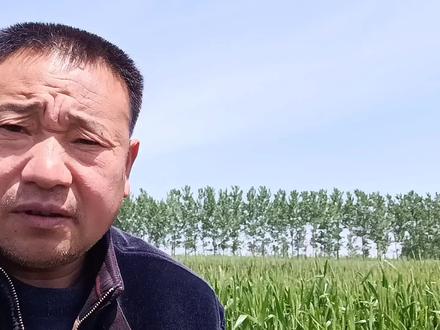 酸模蓼哪知道?它的作用让你吓一跳。