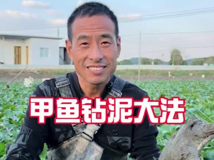 来看看甲鱼是怎么钻到土里的#甲鱼 #烟雨墩甲鱼哥 #生态养殖