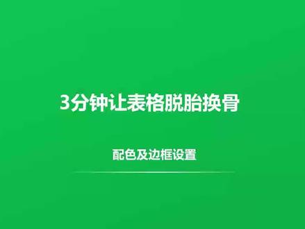 3分钟让表格脱胎换骨 -配色及边框设置#office办公软件