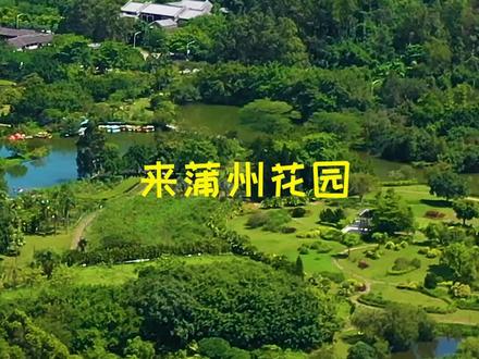 #周末去哪玩 ❓❓❓快带上小伙伴一起来蒲州花园打卡吧❗❗❗#广州 #风景 #景点打卡