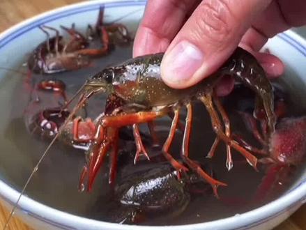 小龙虾别再只用清水洗了,等于吃垃圾,教你小技巧,脏东西都跑光 @抖音小助手 #美食教程 #小龙虾