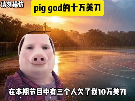 P个嘎的十万美刀 #搞笑#抽象#娱乐