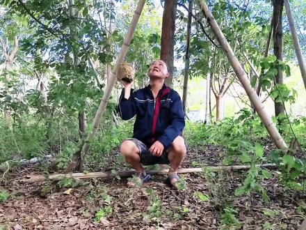 国外的保险跟国内的保险有什么区别吗?听我来分析。