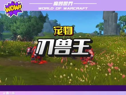 猎人宠物机械豹: 刃兽王驯服攻略。#我的魔兽日常 #魔兽世界