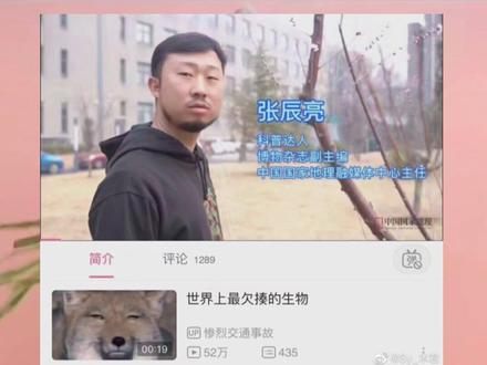 别人那么长,你却那么短!兔子的尾巴大揭秘!感谢@无穷小亮的科普日常 的翻牌和科普#萌宠出道计划
