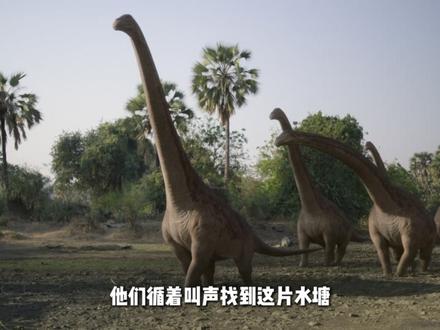 7000 万年前的蛙类霸主!幼年恐龙都是它的菜 #恶魔角蛙 #动物科普 #纪录片解说