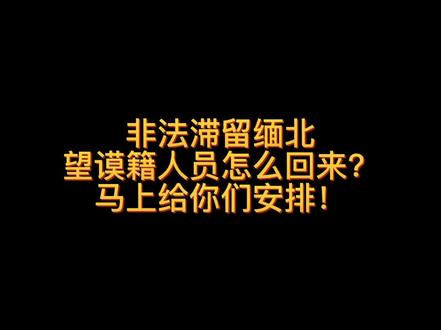 #权威发布 你们要的非法滞留缅北回国方法来了!