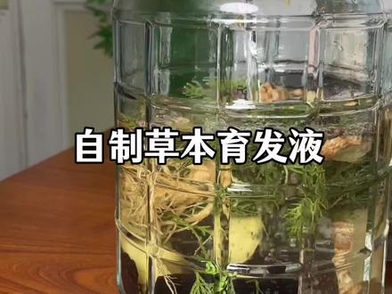 有手就会做的养发液#养发护发#纯天然无添加#侧柏叶