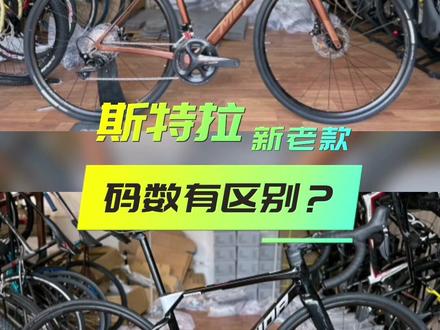 为什么新款斯特拉码数变小了?