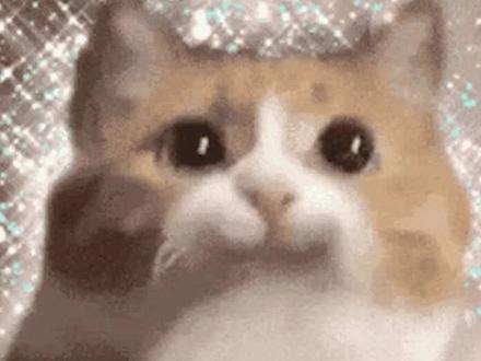 #被抖音的静音模式暖到了 千呼万唤,抖音终于有静音模式啦,学生党和社恐福音,再也不怕声音大吵到别人了#开启抖音时默认静音