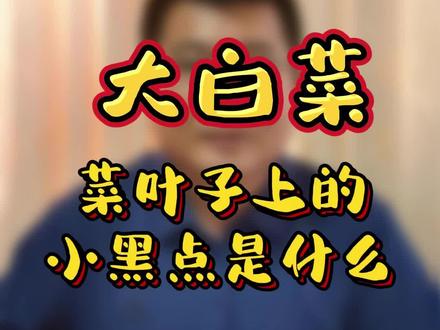 大白菜的小黑点是什么@DOU+小助手 #食品安全 #大白菜 #饮食