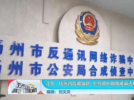 转账背后藏猫腻 参与境外网赌被骗还被拘