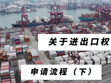 #外贸出口 进出口权申请流程(下)#跨境电商#出口 #阿里巴巴国际站