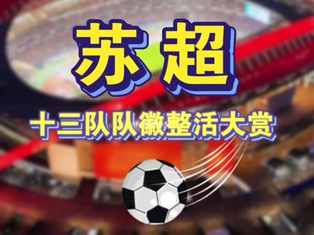 苏超十三队队徽整活大赏,每一款都藏着城市密码! #苏超 #苏超联赛 #苏超队徽 #足球
