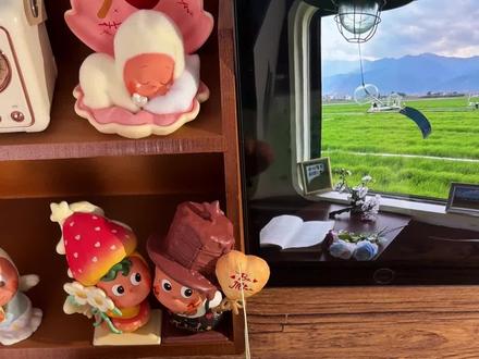 教程丨人生是旷野 不是轨道🏕️ 纸飞机灵感来源🍠蜜橘爱画画
#尼泊尔手工本 #尼泊尔手工本素材 #手工教程 #人生是旷野 #手工礼物