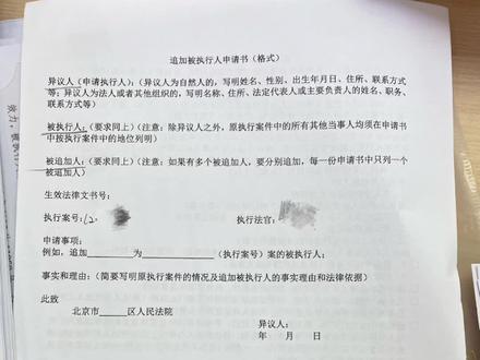 追加被执行人申请书 有用的自取#老赖