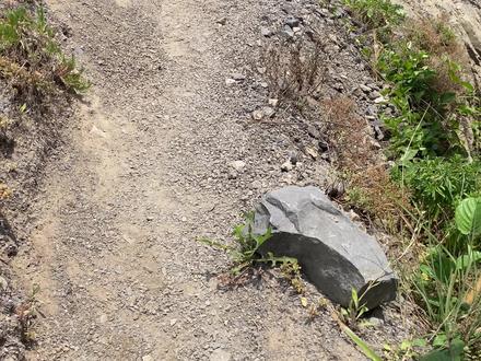 为了阻止大家来赶海,岛上不但挖水渠来阻止而且还架设了铁网 #温州海边 #洞头 #赶海 #温州头条 #乐清