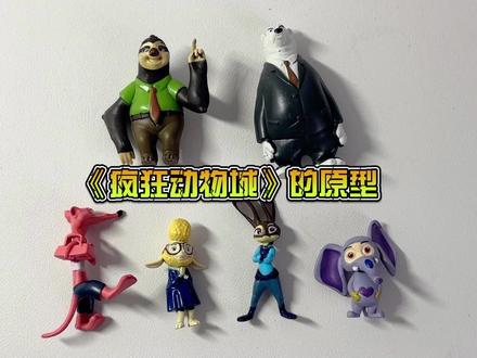 《疯狂动物城》里有些什么动物呢?一起来看看它们的原型是什么吧 #疯狂动物城 #动物原型 #认识动物 #公仔