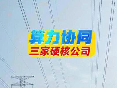 算力协同,三家硬核公司!!#算力协同 #电力 #算力 #财经