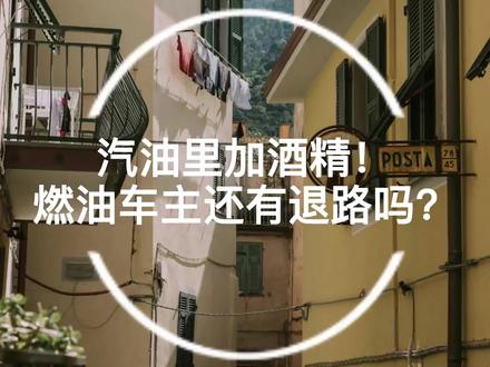 汽油里加酒精!燃油车主还有退路吗?#汽油#燃油车