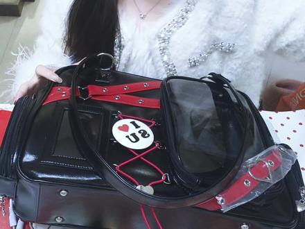 这个好看又实用的痛包终于二贩啦!!!#dou上热门 #susu福福 #痛包