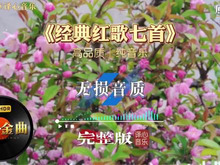 《红歌七首联奏》超燃串烧,经典旋律一响瞬间热血沸腾 #经典音乐百听不厌