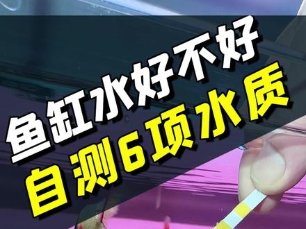 鱼缸水质到底好不好,几秒钟一测就知道,不要乱下药! #鱼缸水质 #鱼缸水质检测 #新手养鱼 #养鱼日记 #轻松养鱼