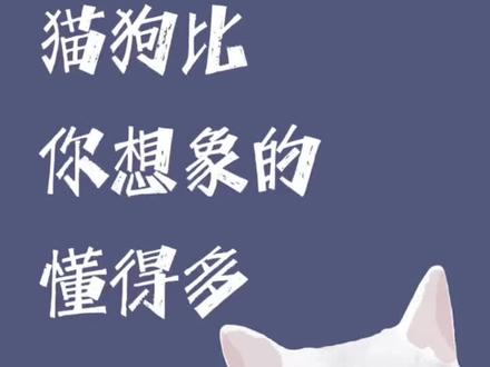 猫咪和狗狗可能比你想象的懂得多…
#猫咪的迷惑行为