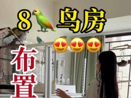 鸟房详细版来咯~想看看你们的鸟房#鸟笼 #鸟房 #鸟房布置