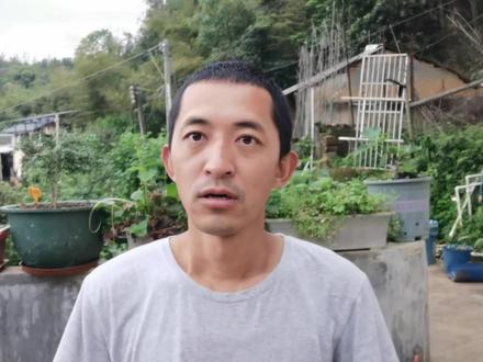 合并蜂群掌握这三点,成功率才更高,你学会了吗? #养蜂技术 #中蜂 #中蜂养殖 #养蜂