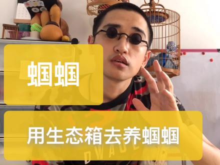 养蝈蝈想给他创造更自然的环境,生态箱饲养蝈蝈值得注意的几个点