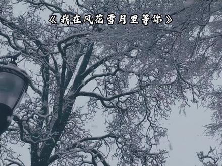 一间客栈一座城,一生只等一个人。#我在风花雪月里等你 #杨思思 #米高