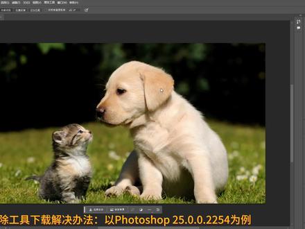 解决Photoshop 2024(25.0.0.2254)移除工具出现下载提示的问题 #ps教程 #ps技能