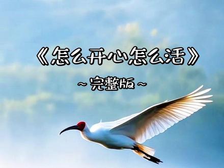 怎么开心怎么活。说着容易,做起来难啊!
