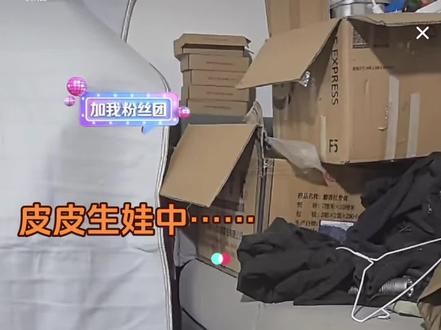 皮皮生娃中……#西北刀客皮皮 #实战猎犬 #西北刀客