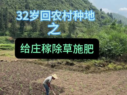 作为一个农村人,每天都有种不完的地,#我的乡村生活 #新农人计划 #种地 #真实生活分享计划 #种菜小技巧