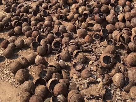 "椰壳之美,机制炭焕新烧烤体验!"
#烧烤炭 #环保炭 #机制木炭 #欢迎新老客户的光临 #全国发货欢迎合作