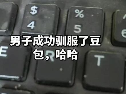 #豆包 这是正确的使用豆包的人,哈哈哈