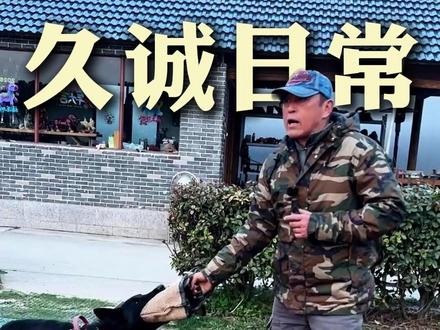 还得多辅导辅导....... #训犬 #训犬师 #训犬学校
