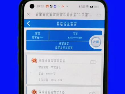 国家补贴查询方法#补贴政策 #手机使用技巧